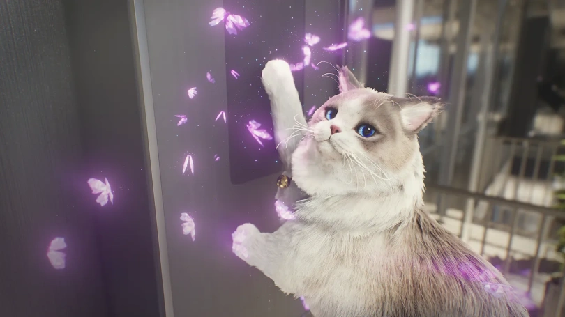 inZOi prix de l'early access, maj et DLC gratuits